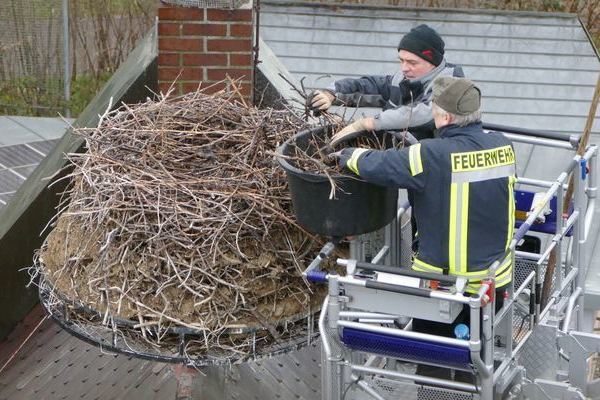 Arbeiten am Horst (Heinz Jund und Siegfried Buderer im Korb der Drehleiter neben dem Horst)