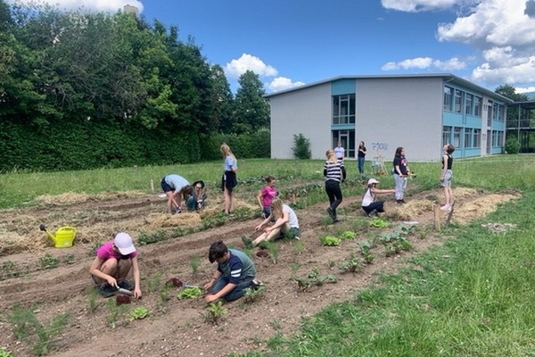 Fleißige Schülerinnen und Schüler der Nachhaltigkeits-AG und der GartenKids bei der Anlage und Pflege des Schulgartens