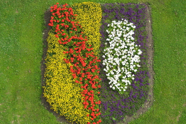 Blühende Pflanzen formen das Denlzinger Wappen Blühende Pflanzen formen das Denlzinger Wappen