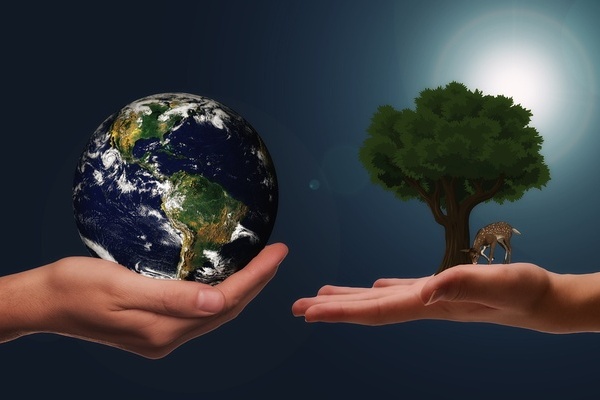 Zwei Hände, eine Hand trägt die Erdkugel, die andere einen Baum unter dem ein Reh steht; Quelle: Pixabay Zwei Hände, eine Hand trägt die Erdkugel, die andere einen Baum unter dem ein Reh steht; Quelle: Pixabay