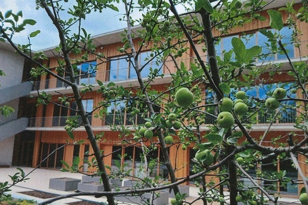 Bild: Der Red Sentinel Zierapfelbaum auf dem Schulgelnde der Ruth-Cohn-Schule Denzlingen trgt Frchte. Der Baum wurde von Schlern der Jahrgangsstufe sechs gespendet. Foto: Gemeinde Denzlingen.
