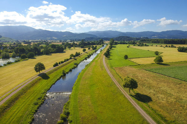 Das Regierungspr&auml;sidium Freiburg plant an der Elz eine umfassende Dammr&uuml;ckverlegung und Renaturierung. Foto: Dieter Ruf/ RPF