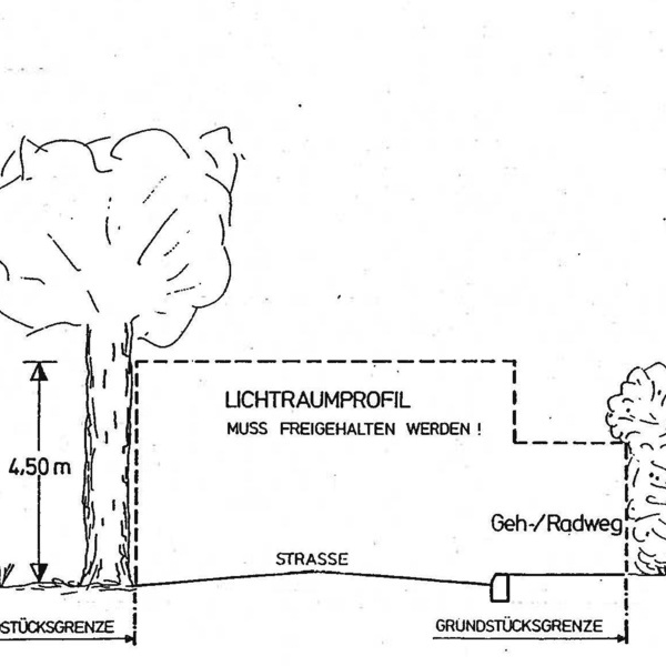 Heckenrckschnitt